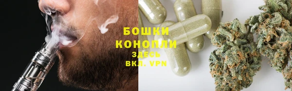 молекула духа Лихославль