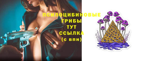молекула духа Лихославль