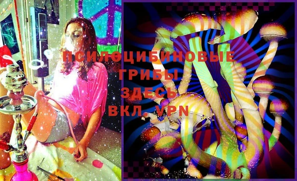 спиды Липки