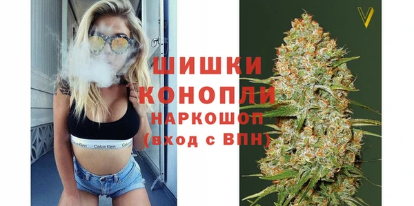 спиды Липки