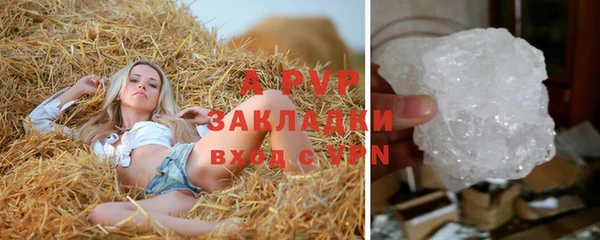 молекула духа Лихославль