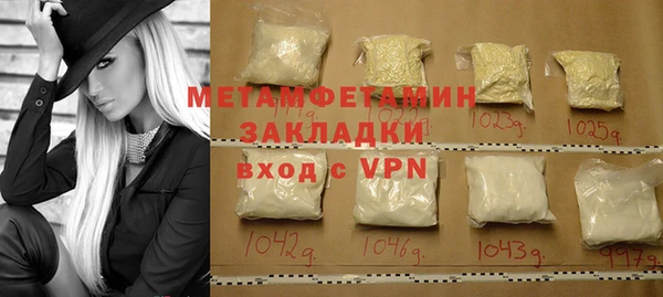 прущие грибы Великий Новгород