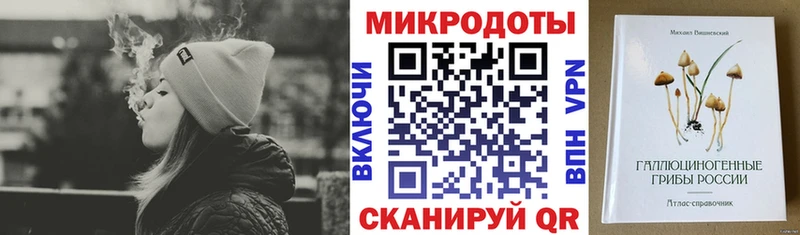 магазин продажи наркотиков mega зеркало Псилоцибиновые грибы Psilocybine cubensis Томилино